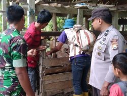 Bhabinkamtibmas Polsek Cina Dampingi Petugas Vaksinasi PMK di Dusun Buae Desa Kawerang Kecamatan Cina