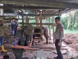 Cipta Kondisi, Unit Turjawali Amankan Pemuda yang Kedapatan Membawa Senjata Tajam
