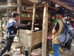 Bhabinkamtibmas Polsek Cina Polres Bone Dampingi Petugas Vaksinasi PMK fi Desa Awo Kecamatan Cina