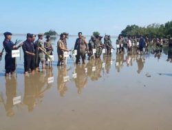 Kapolres Bone Bersama Forkopimda Ikuti Penanaman Mangrove Serentak di Kecamatan Sibulue