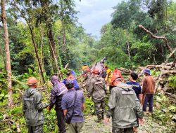 Respon Cepat Tim SAR Brimob Bone Evakuasi Pohon Tumbang Yang Tutup Akses Jalan