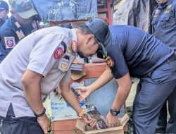 Operasi Gempur Rokok Ilegal Berhasil  Amankan Puluhan Rokok tanpa cukai
