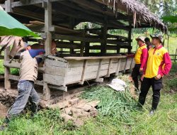 Kompak Bhabinkamtibmas Bersama Babinsa Dampingi Petugas Vaksinasi PMK