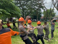 Bahayakan Warga !! Brimob,BPBD Dan Satpol PP Tebang Pohon di Jalan