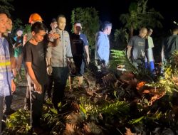 Brimob Bone Batalyon C Pelopor Gerak Cepat  Evakuasi Pohon Tumbang di Jalan Poros Bone Sinjai
