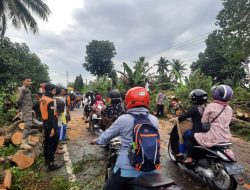 Tim Satgas Bencana Satpol PP, Cepat Tanggap Bantu Warga Atasi Pohon Tumbang