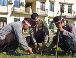 Tanam Ribuan Pohon Polres Bone,Polri Peduli Lingkungan