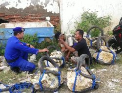 Lakukan Polmas Perairan kepada Nelayan, Satpolairud Polres Bone Sampaikan Himbauan Ini