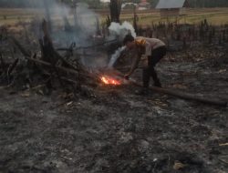 Cegah Kebakaran Lahan Meluas, Bhabinkamribmas Polsek Patimpeng Padamkan Titik Api