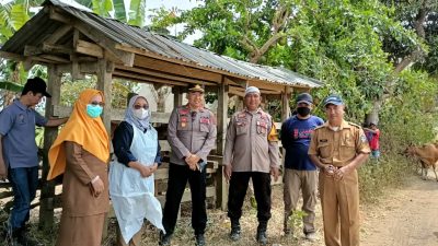 Kapolsek Bengo Polres Bone Pantau Pelaksanaan Vaksinasi PMK Bersama Bhabinkamtibmas