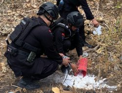 Kejari Serahkan 720 Detonator,Den Gegana Sat Brimob Polda Sulsel Musnahkan Handak di Bone