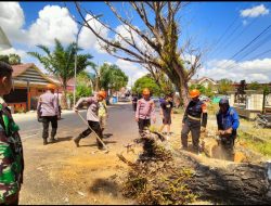 Bahayakan Warga dan Penggunaan Jalan,Tim SAR Brimob Bone Evakuasi Pohon Lapuk