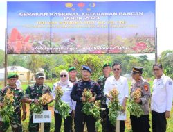 Panen Kacang di Tengah Kekeringan Danyon Ichsan; Semoga Musim Kering Segera Berlalu
