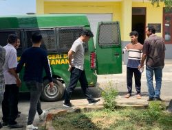 Tebang Pohon di Hutan HPT Kades di Bone dipenjara