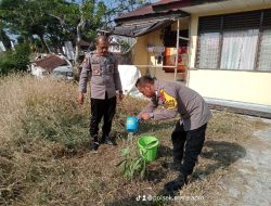 Pelestarian Alam, Polsek Mare Lakukan Penanaman  Pohon  Secara Serentak