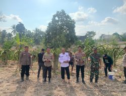 Penanaman Pohon Serentak Polsek Amali Dalam Rangka Penghijauan Kelestarian Bumi