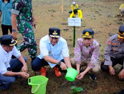 Rektor IAIN Bone dan PJ Gubernur Tanam Perdana 1000 Pohon Pisang di Kampus Dua IAIN Bone