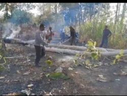 Bhabinkamtibmas Aiptu IWAN dan Warga Bersatu Evakuasi Pohon Tumbang Akibat Pembakaran Lahan di Ponre