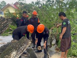 Gerak Cepat Tim SAR Brimob Bone Evakuasi Pohon Tumbang Yang Sebabkan Kemacetan
