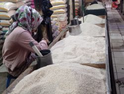 Harga Beras Disejumlah Pasar Tradisional Di Kota Makassar, Perlahan Terkendali dan Diprediksi Turun