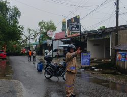 Bencana Alam Pohon Tumbang Tutup Jalan di Tanete Riattang Bone