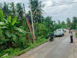 Pasca Pohon Tumbang, Personel Polsek Tellu Siattinge Kawal Perbaikan Jaringan Listrik 