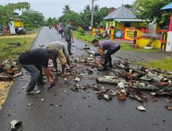 Membahayakan Pengendra dan Siswa SD, Pohon Lapuk Ditumbangkan Polisi