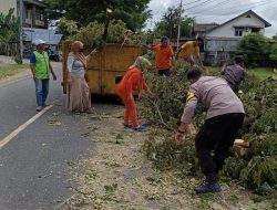 Bhabinkamtibmas Bersama Warga Bersihkan Potongan Kayu Sisa Pohon Tumbang di Jalan Poros Bajoe