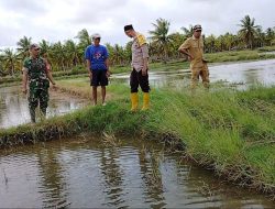 Tiga Pilar Desa Awang Cenrana Laksanakan Problem Solving,  Mediasi Sengketa Perbatasan Lahan Persawahan