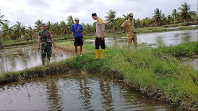 Tiga Pilar Desa Awang Cenrana Laksanakan Problem Solving,  Mediasi Sengketa Perbatasan Lahan Persawahan