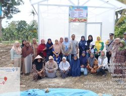 Polsek Awangpone Polres Bone Monitoring Demplot dan Rumah Bibit KWT Siamelori Desa Carebbu