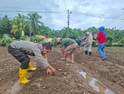 Dukung Ketahanan Pangan Nasional, Polsek Libureng Manfaatkan Halaman Mako