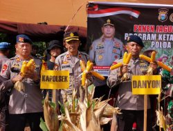 Kapolsek Tanete Riattang Hadiri Panen Jagung Serentak Program Ketahanan Pangan Polda Sulsel