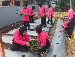 Bhayangkari Ranting Pelabuhan Bajoe Tanam Sayuran di P2L untuk Ketahanan Pangan