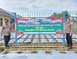 Polsek Pelabuhan Bajoe Dukung Program Ketahanan Pangan Melalui Pekarangan Pangan Bergizi