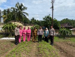 Kapolsek Libureng Bersama Bhayangkari dan PPL Pertanian Pantau Perkembangan Pekarangan Bergizi