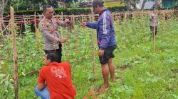 Bersama Warga, Kapolsek Libureng Lakukan Pemeliharaan Tanaman Lahan Pekarangan Bergizi