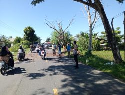 Antisipasi Kemacetan, Bhabinkamtibmas dan Warga Bersihkan Pohon Tumbang di Tengah Jalan
