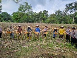 Lahan Tidur Jadi Produktif, Polsek Barebbo Buktikan Peran Polisi Penggerak