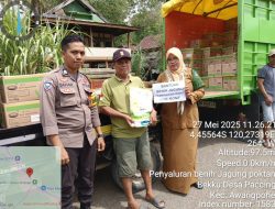 Pengawalan Bantuan Benih Jagung, Polsek Awangpone Dukung Program Pertanian Berkelanjutan