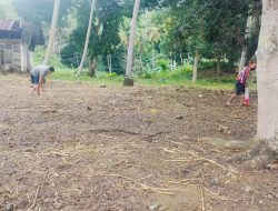 Dukung Swasembada Pangan, Polsek Lamuru Lakukan Penanaman Jagung Disekitar Mapolsek