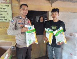 Polisi Penggerak Polsek Awangpone Salurkan Bantuan Bibit Jagung untuk Program Ketahanan Pangan di Desa Matuju