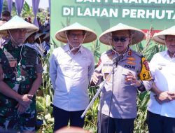 Kapolda Jabar Tanam Jagung Serentak di Sumedang, Dukung Kemandirian Pangan dan Kesejahteraan Petani