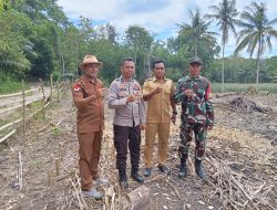 Bhabinkamtibmas Polsek Awangpone Polres Bone Tinjau Lokasi Penanaman Jagung Serentak di Dusun Bontomaero