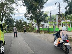 Polsek Barebbo Lakukan Pengamanan dan Pengaturan Lalu Lintas Saat Penebangan Pohon di Jalan Poros Bone-Sinjai