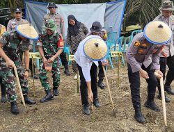 Gugus Tugas Polri Gelar Penanaman Jagung Serentak Kuartal III di Desa Barebbo Dukung Swasembada Pangan 2025