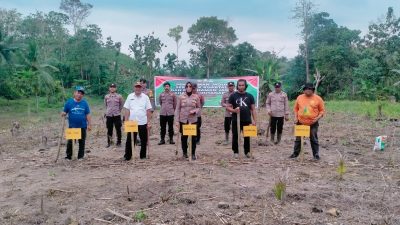 Kapolsek Lamuru Bersama Forkopimcam Tanam Jagung Serentak Kuartal III di Desa Poleonro