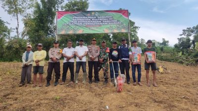 Kapolsek Salomekko Bersama Danramil dan Warga Laksanakan Penanaman Jagung Serentak Kuartal III