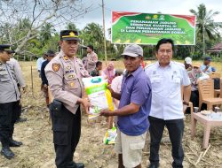 Dukung Swasembada Pangan, Polsek Dua Boccoe dan Forkopimcam Laksanakan Penanaman Jagung Serentak Kuartal III