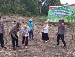 Kapolsek Awangpone Memimpin Pelaksanakan Penanaman Jagung Serentak Kuartal III di Desa Matuju